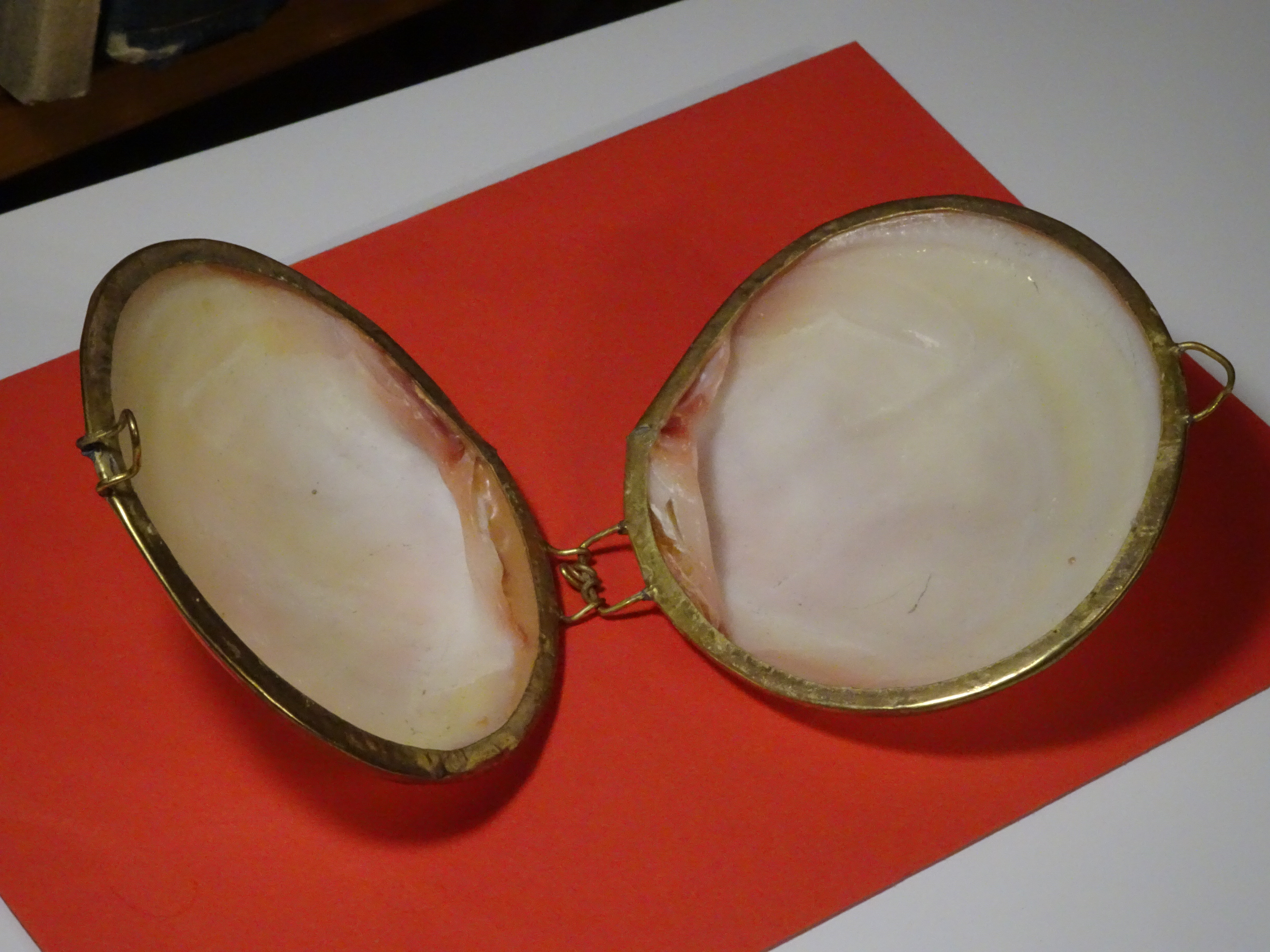 Muscheldose  