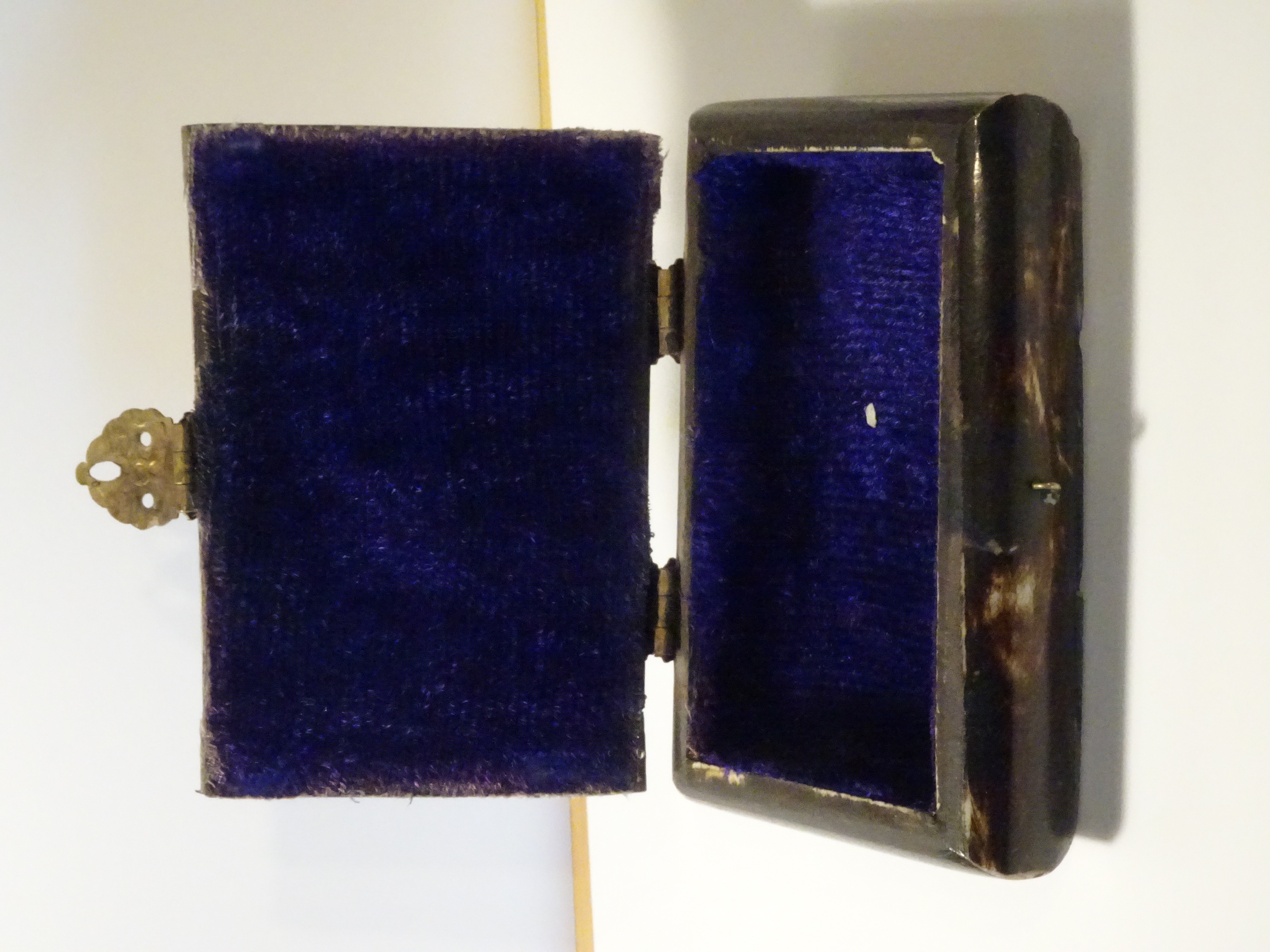 Schatulle aus Horn   