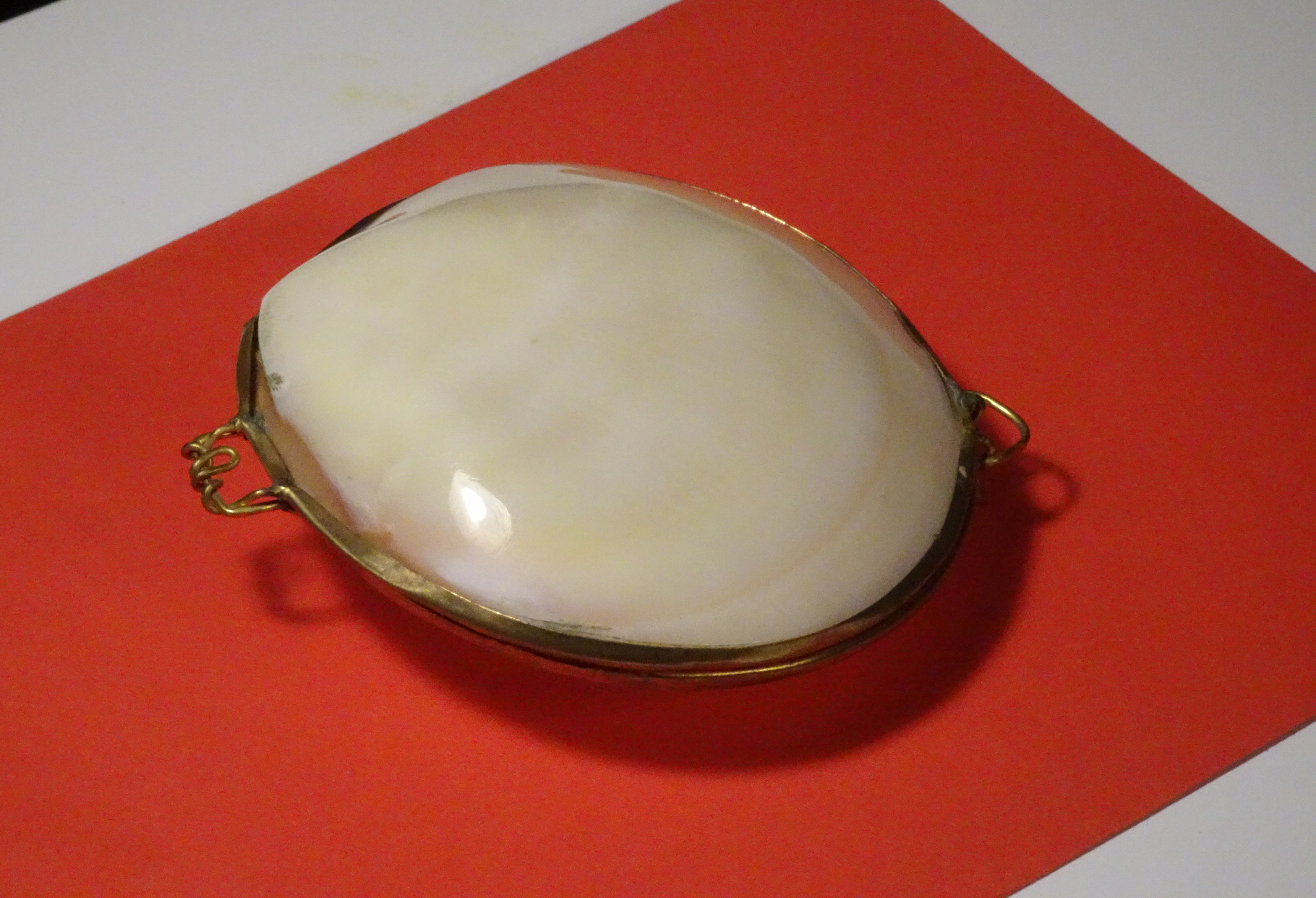 Muscheldose  
